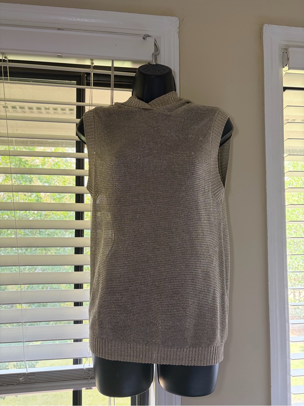 Zara Sleeveless V-Neck Hooded Sweater - Metallic Gold